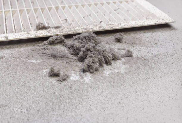 Best Air Duct Cleaning Near Me  in Whitehall, WI