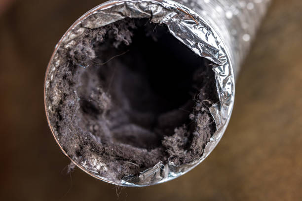 Best Best Air Duct Cleaning Company  in Whitehall, WI